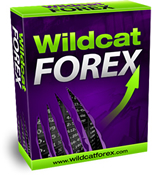 wildcat forex